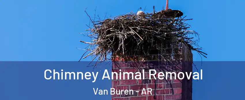Chimney Animal Removal Van Buren - AR